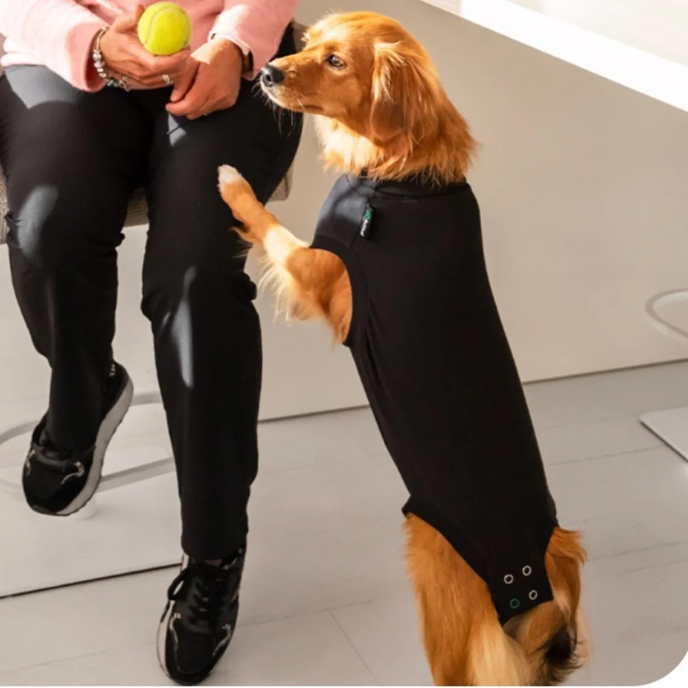 Suitical for Dog Recovery Size Small